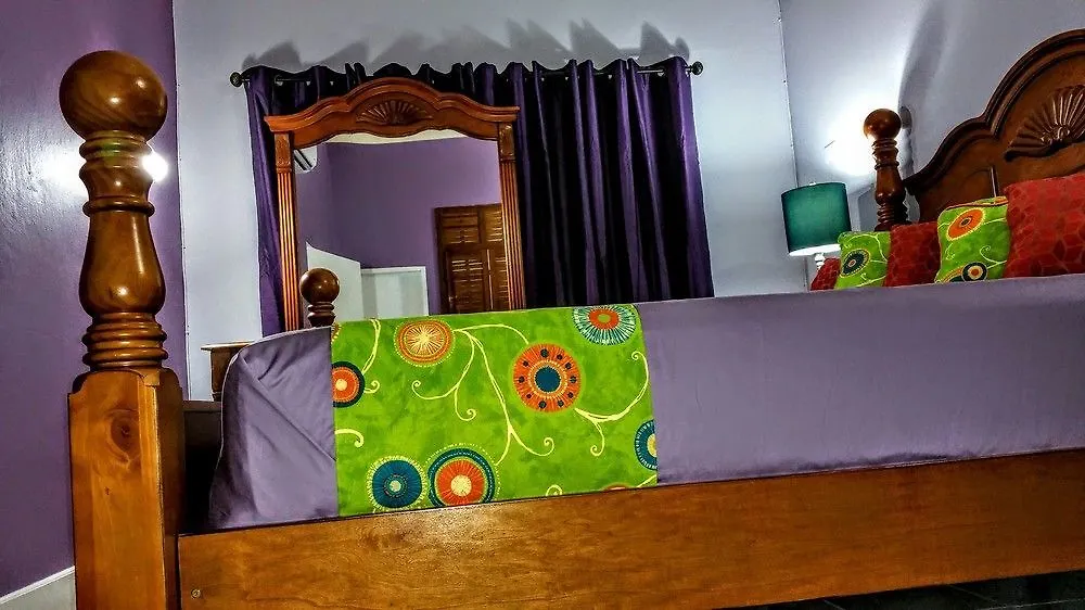 Casa Tamar Guest Apartment Kingston