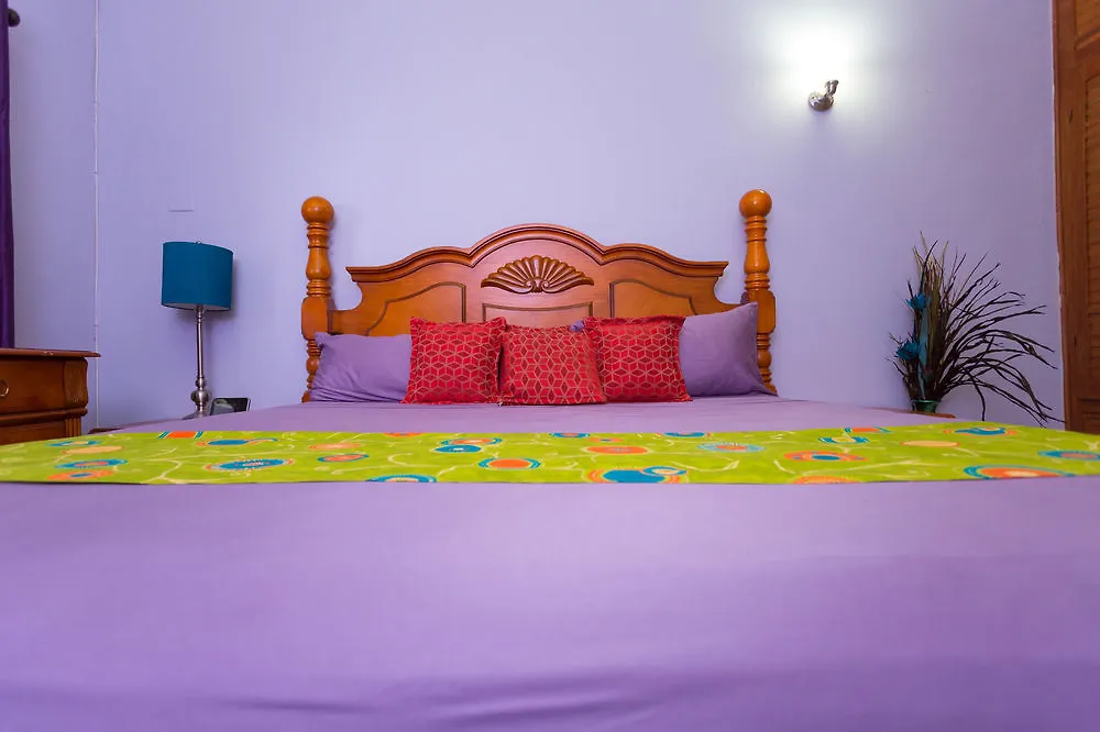 Casa Tamar Guest Apartment Kingston